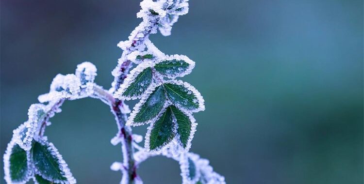Kako se učinkovito zaštiti od hladnoće?
